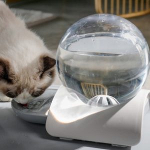 bebedouro com reservatório esférico